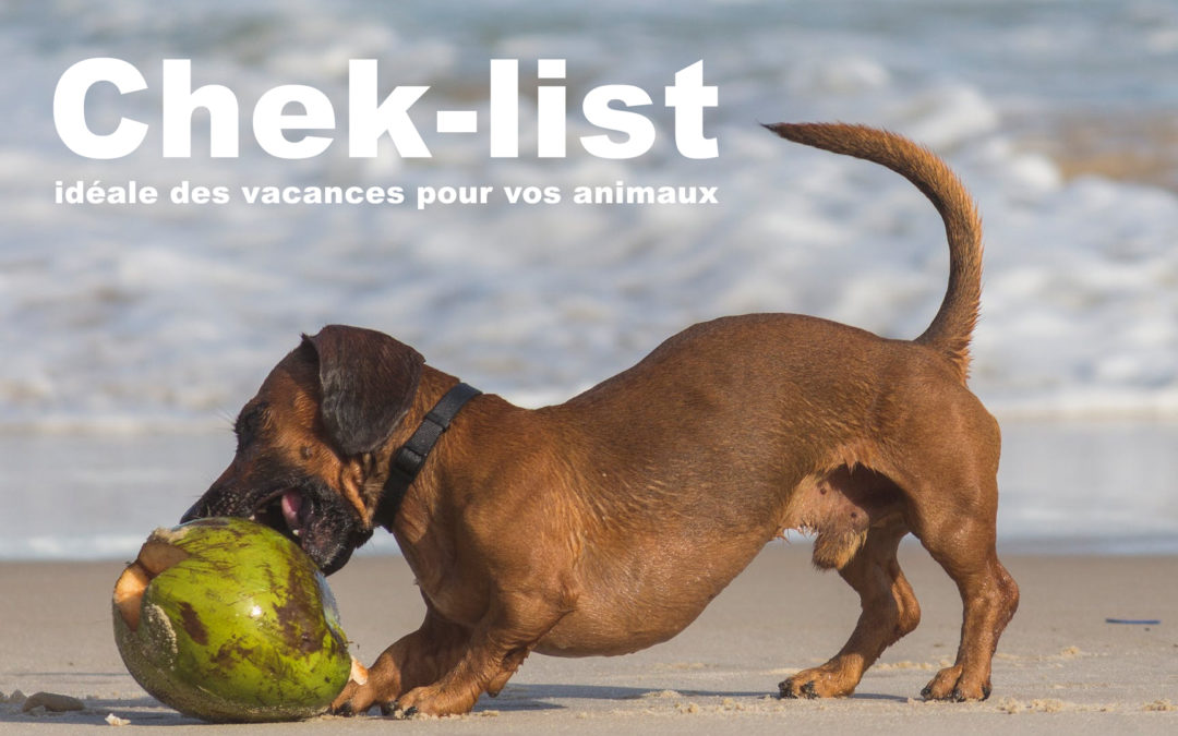 La check-list idéale des  vacances pour vos animaux !